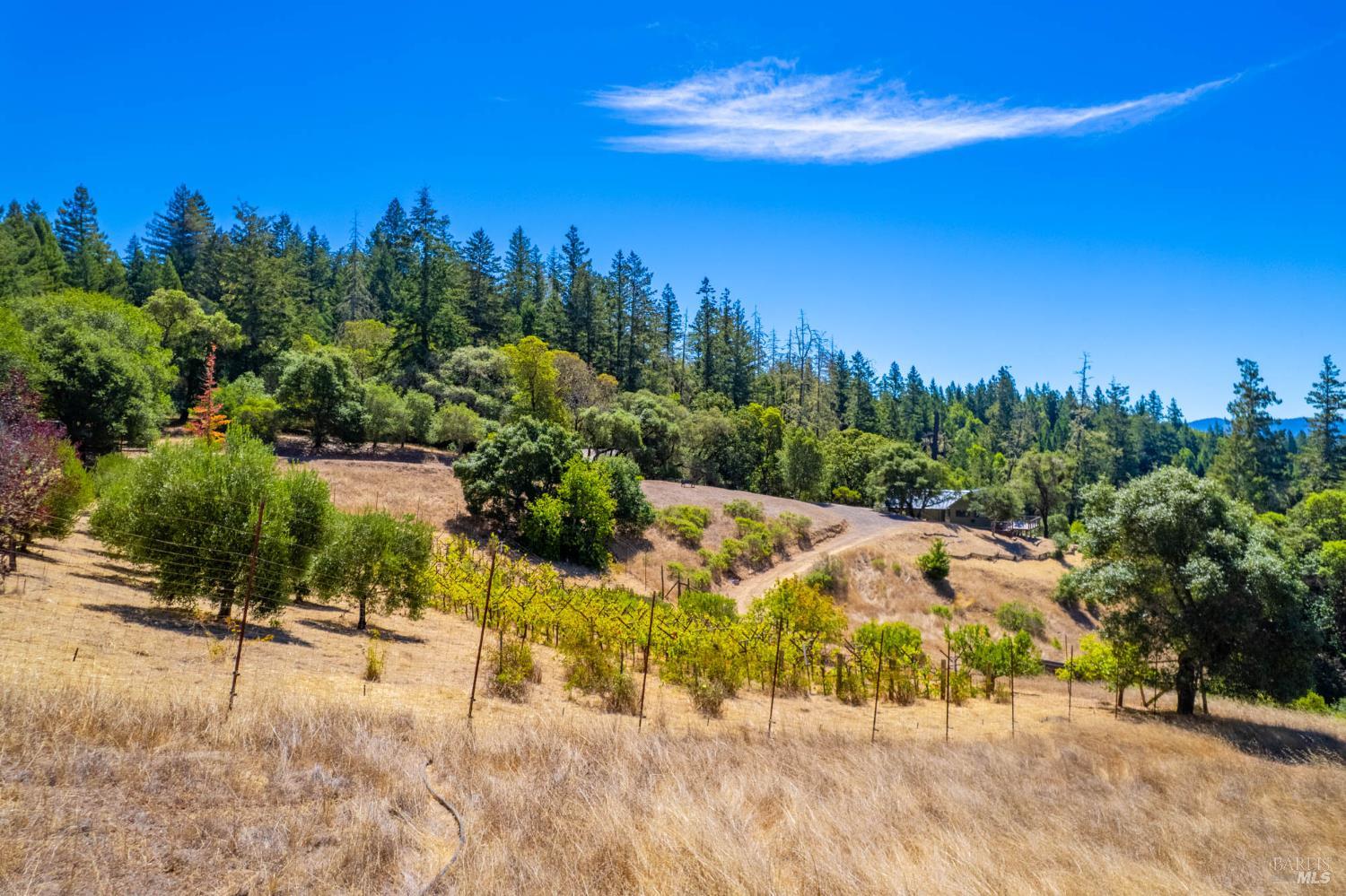 11901 Clow Ridge Road Philo, CA 95466 - Photo 47 of 55 Gallery Image 47