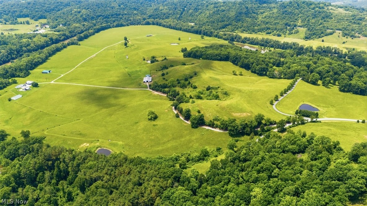 1340 Fish Hatchery Road Elizabeth, WV 26143 - Photo 46 of 50 View of the pasture land, and several buildings