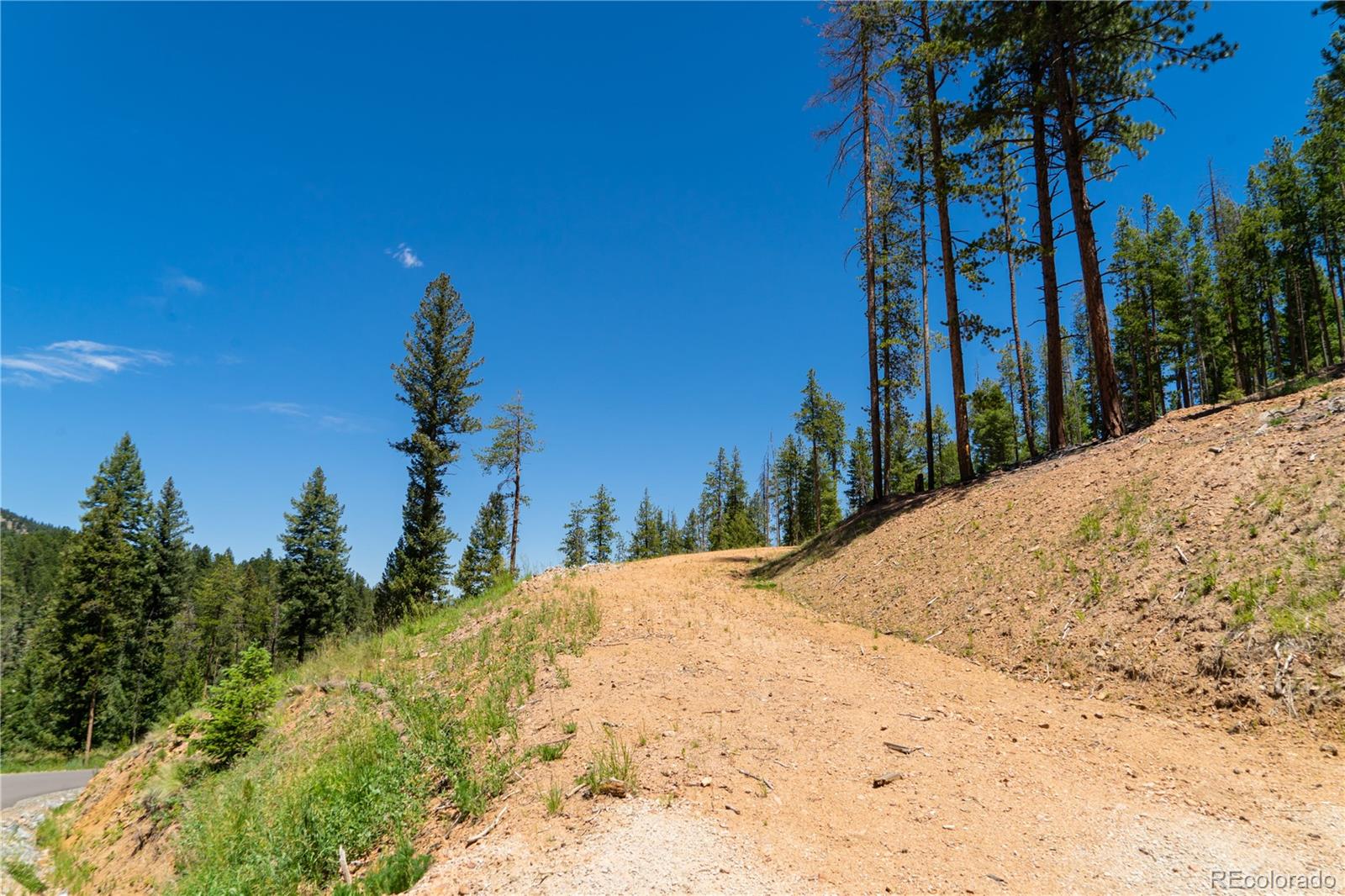 6814 Lynx Lair Road Evergreen, CO 80439 - Photo 10 of 19