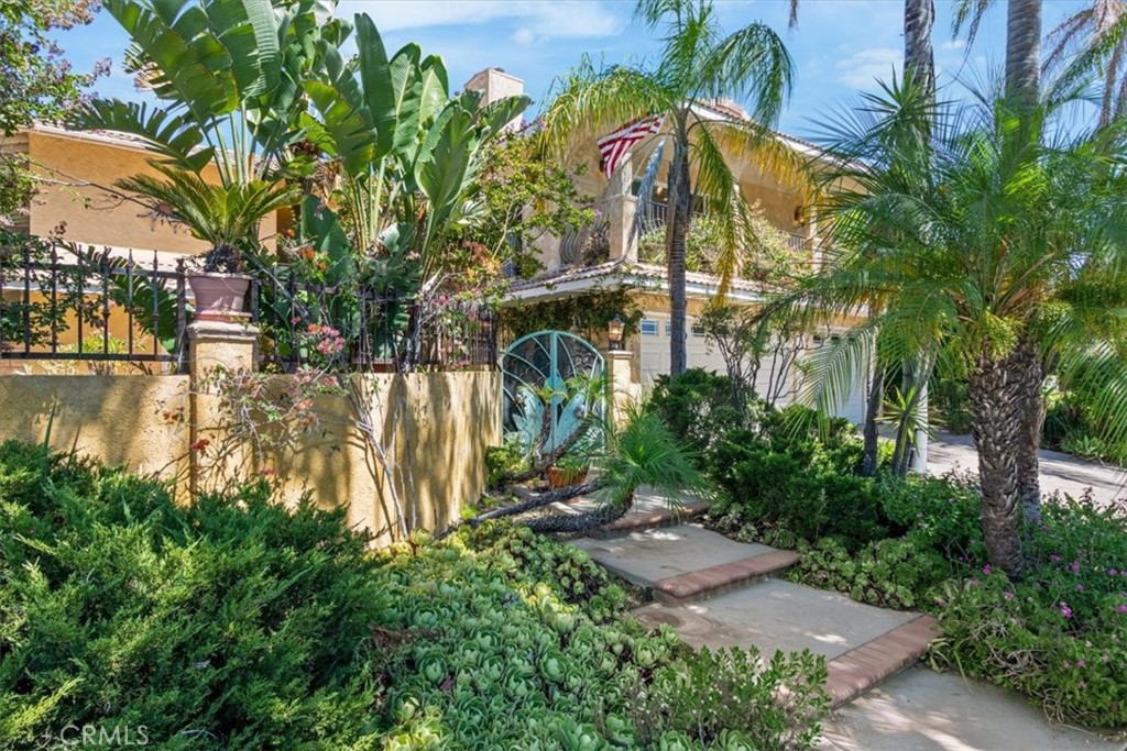 a view of a palm plant with a yard