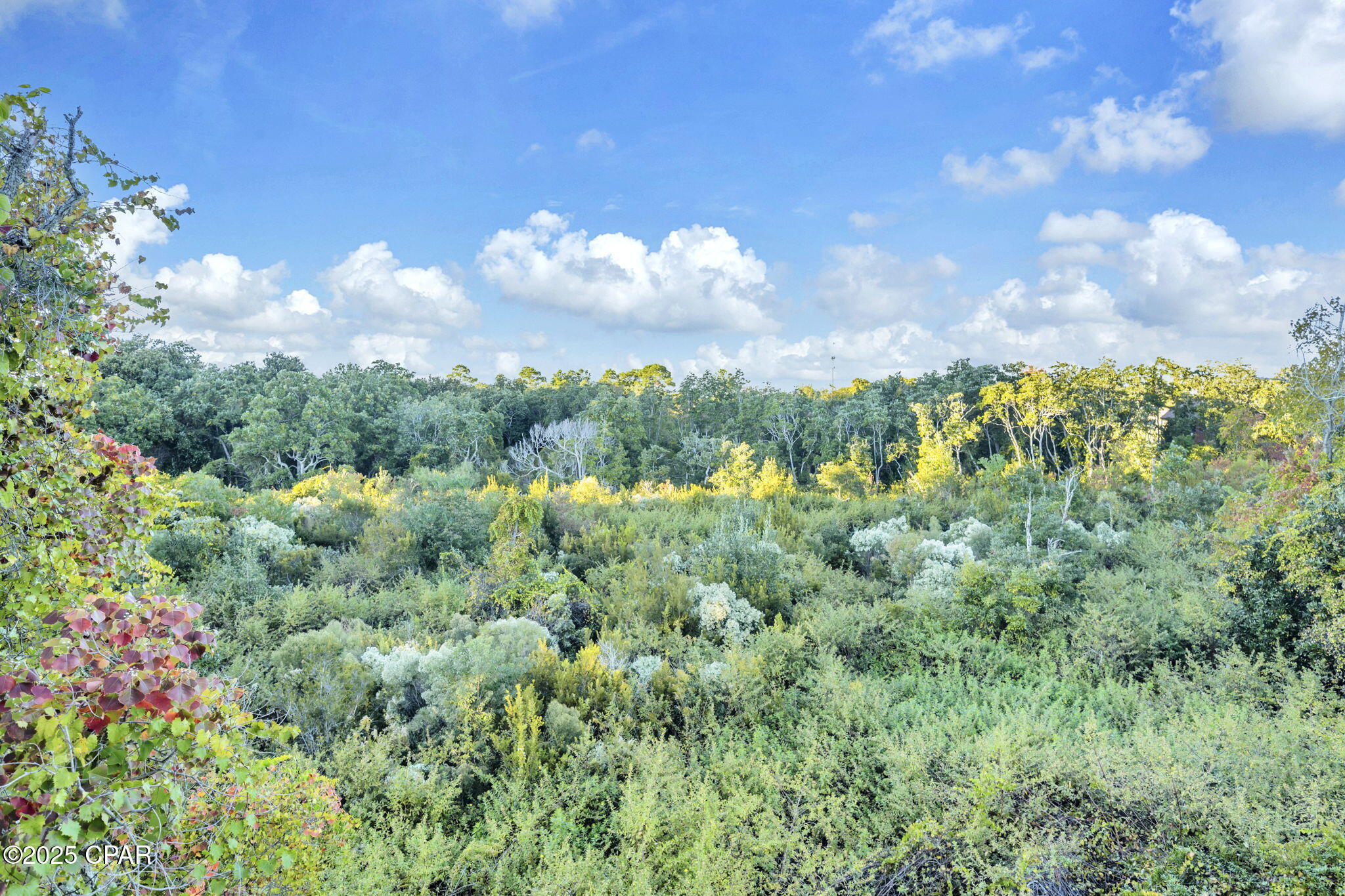 17680 Front Beach Road, Unit B305 Panama City Beach, FL 32413 - Photo 34 of 45