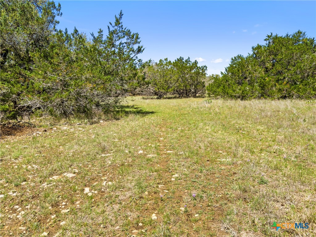 1530 Misty Lane Spring Branch, TX 78070 - Photo 11 of 19