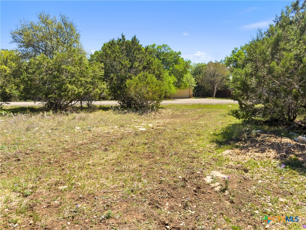 1530 Misty Lane Spring Branch, TX 78070 - Photo 12 of 19