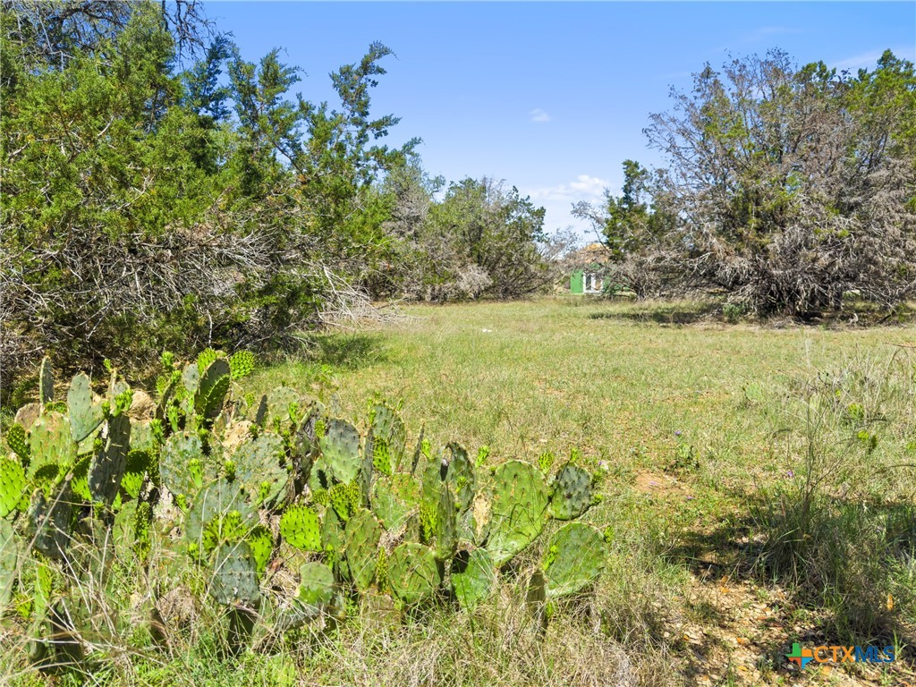 1530 Misty Lane Spring Branch, TX 78070 - Photo 4 of 19