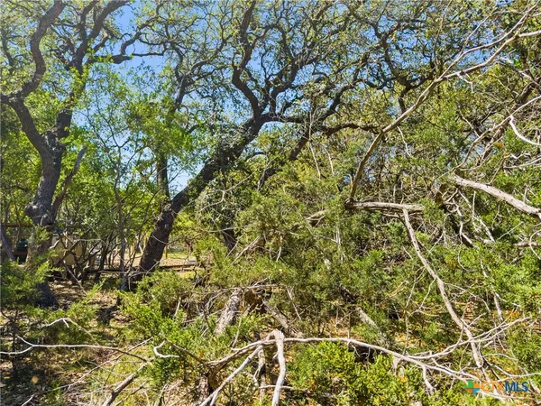 a backyard of a house with a tree