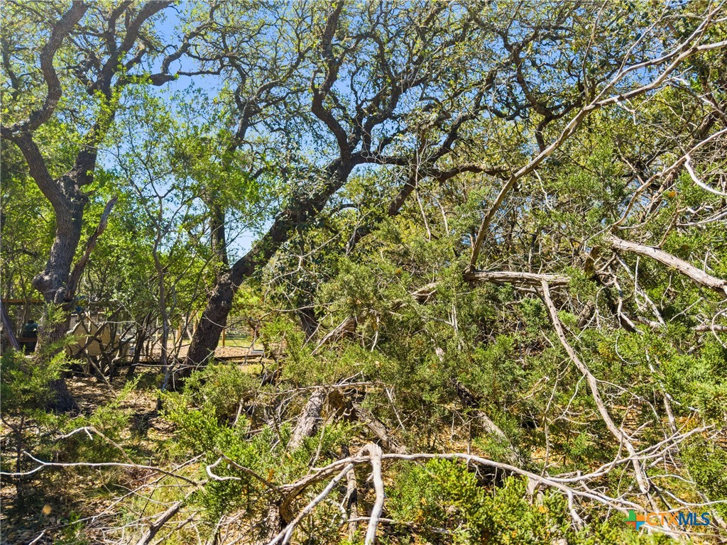 1530 Misty Lane Spring Branch, TX 78070 - Photo 6 of 19