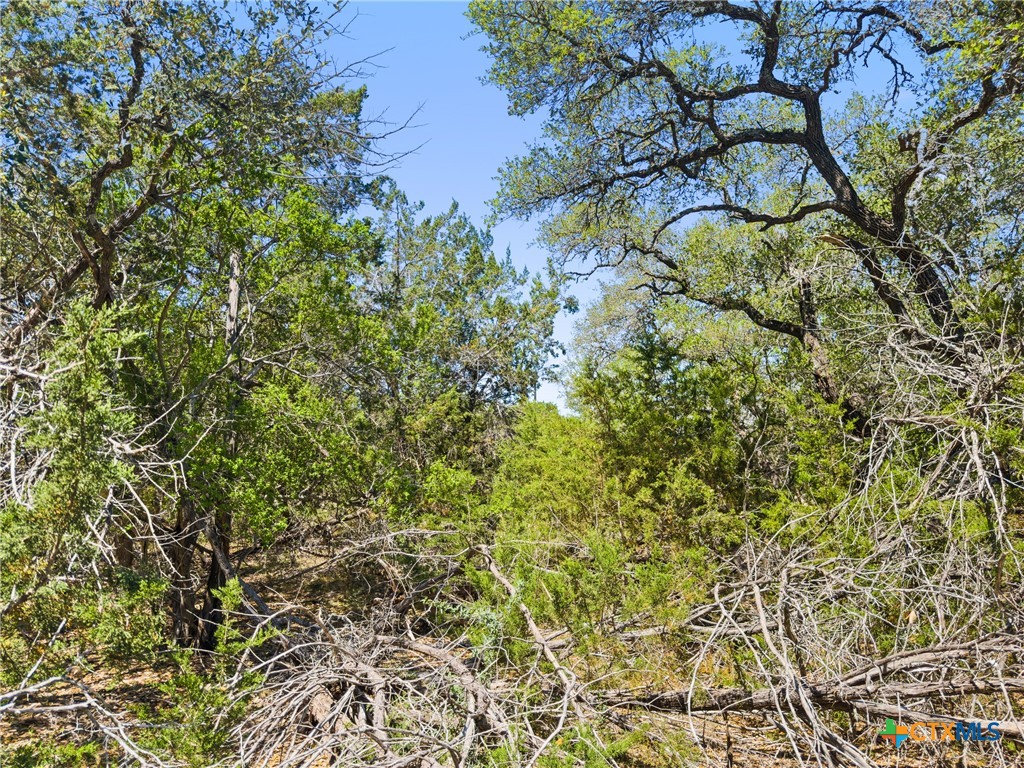 1530 Misty Lane Spring Branch, TX 78070 - Photo 7 of 19