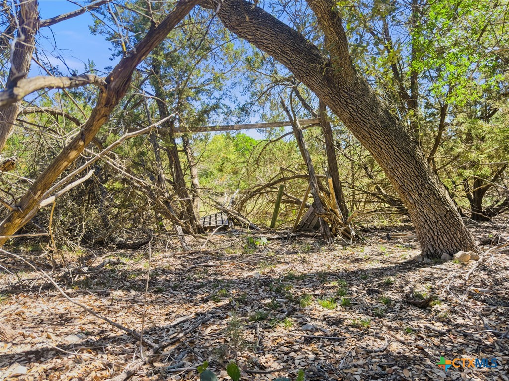 1530 Misty Lane Spring Branch, TX 78070 - Photo 8 of 19