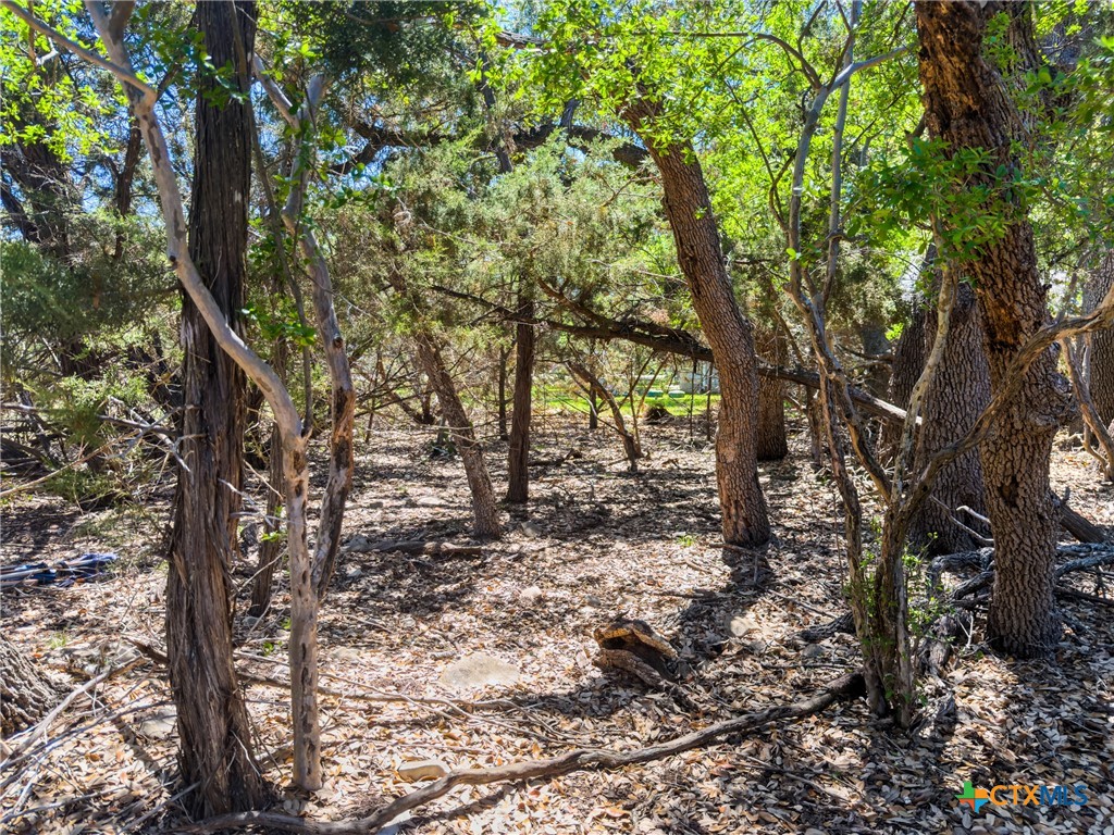 1530 Misty Lane Spring Branch, TX 78070 - Photo 9 of 19