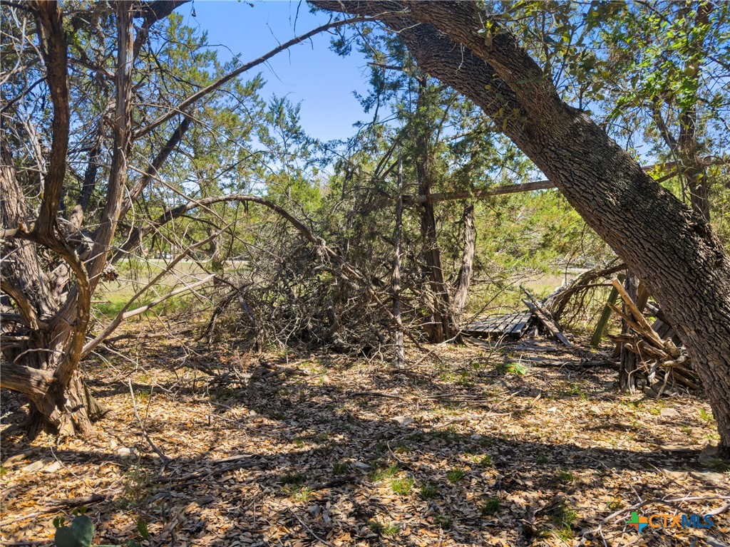 1530 Misty Lane Spring Branch, TX 78070 - Photo 10 of 19