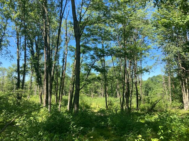 Vl Boltwood Road Reed City, MI 49677 - Photo 8 of 11 IMG_6271