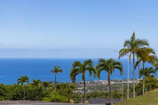 a view of a lake with lawn chairs and large trees