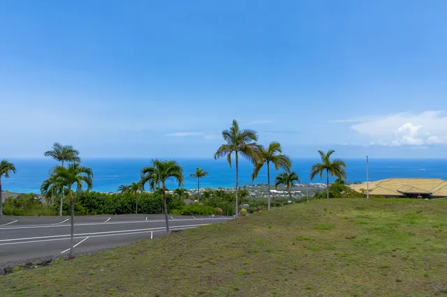 a view of a town with palm trees