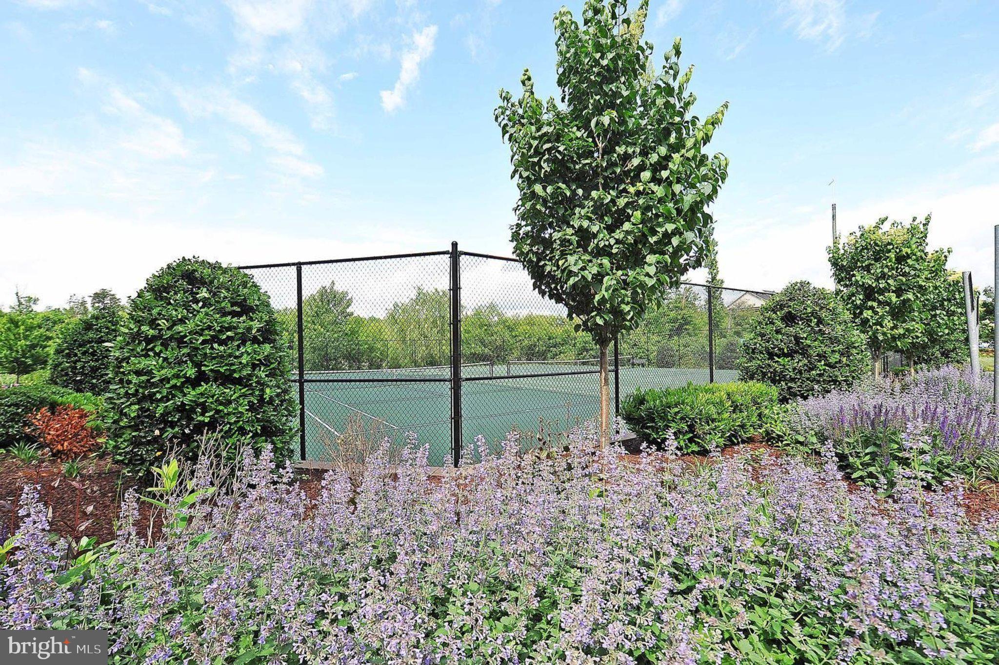 13717 Course View Way Woodbridge, VA 22191 - Photo 43 of 47 Tennis Courts
