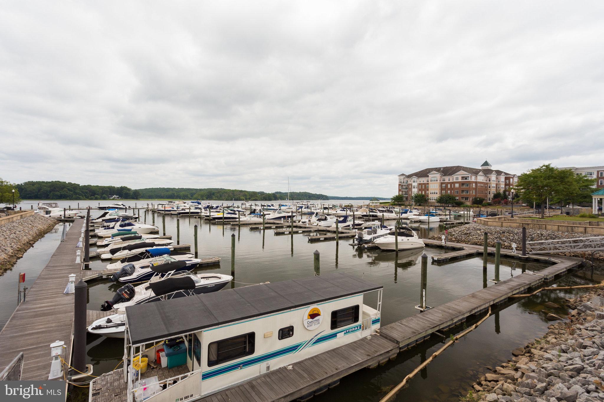 13717 Course View Way Woodbridge, VA 22191 - Photo 45 of 47 Marina