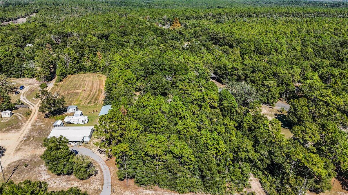 5351 Highway 4 Baker, FL 32531 - Photo 4 of 9 a view of a plant in a garden