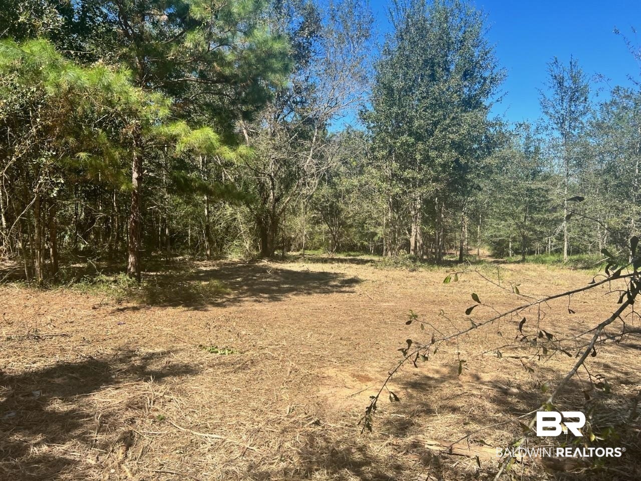 24205 Waterworld Road Robertsdale, AL 36567 - Photo 1 of 4