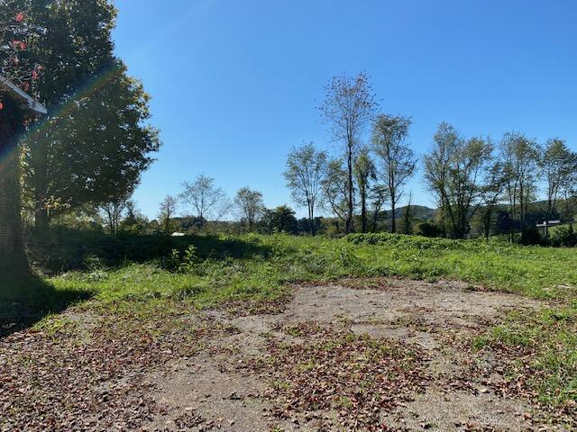 24026 Highpoint Road Bristol, VA 24202 - Photo 3 of 13 Back Yard