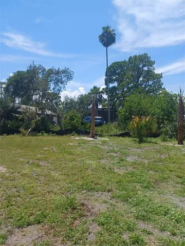 a big yard with lots of green space