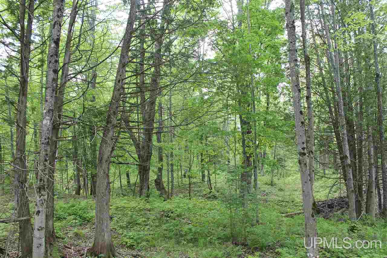 Tbd Off Kyllonen Road, Unit LAT 46 75685 LON 88 7526 Nisula, MI 49952 - Photo 10 of 24