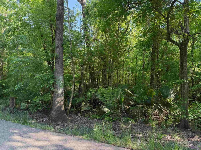 $155,000 | Tract 2-a-2 Tract 2-a-2 Melancon Rd Street, St. Amant, LA 70774