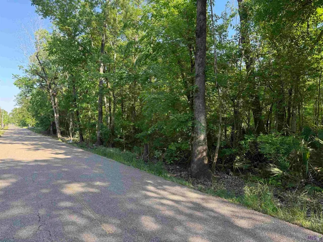 $155,000 | Tract 2-a-2 Tract 2-a-2 Melancon Rd Street, St. Amant, LA 70774