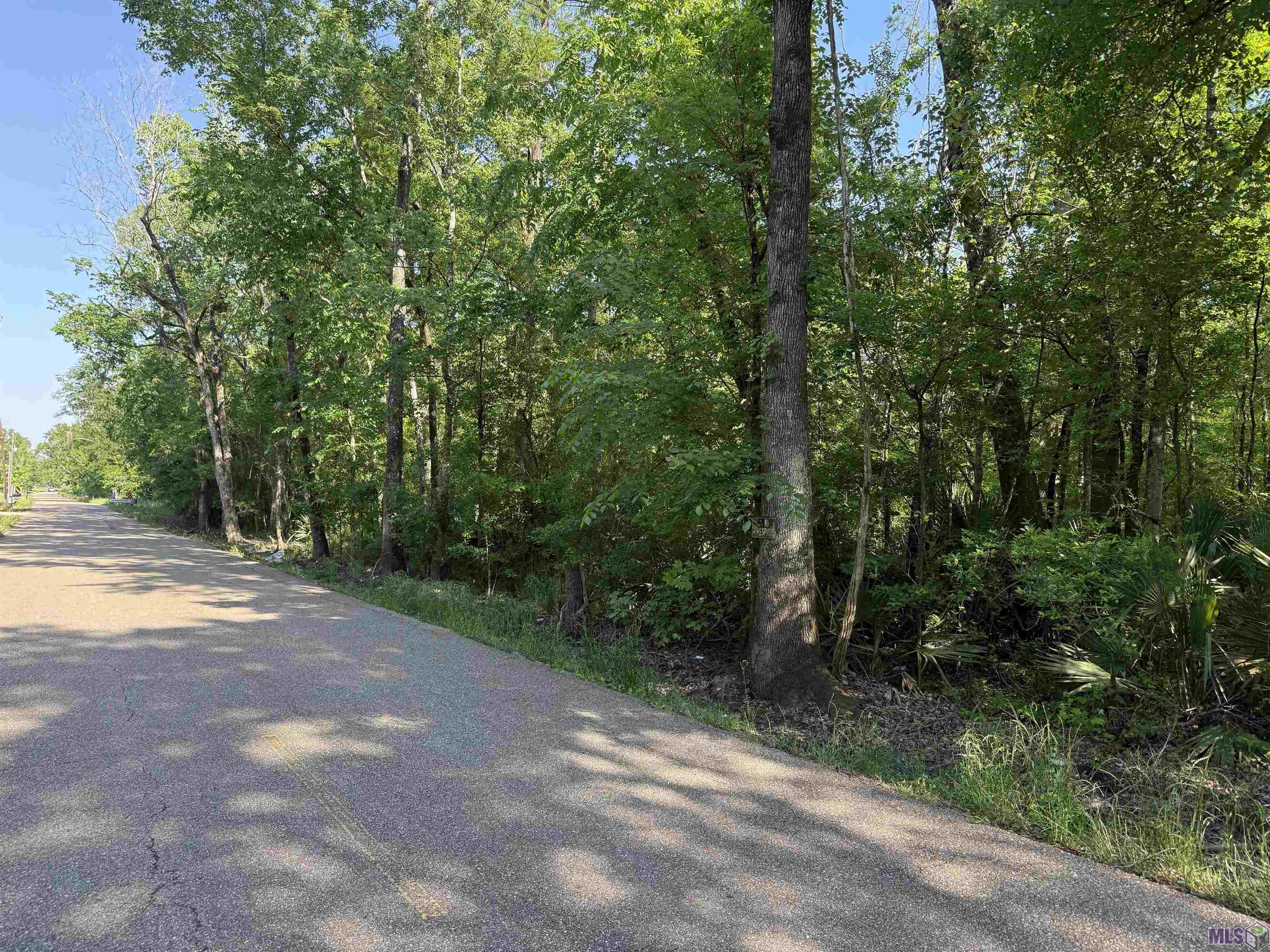 Tract 2-a-2 Tract 2-a-2 Melancon Rd Street St. Amant, LA 70774 - Photo 2 of 7