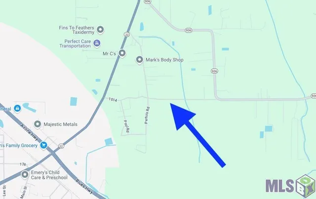 $155,000 | Tract 2-a-2 Tract 2-a-2 Melancon Rd Street, St. Amant, LA 70774