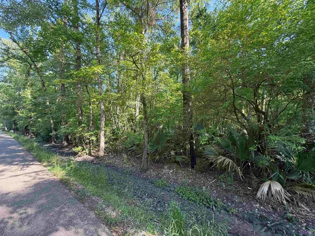 $155,000 | Tract 2-a-2 Tract 2-a-2 Melancon Rd Street, St. Amant, LA 70774