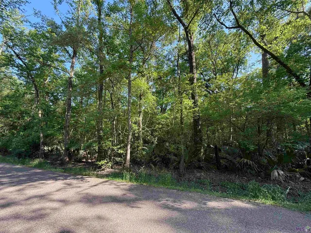 $155,000 | Tract 2-a-2 Tract 2-a-2 Melancon Rd Street, St. Amant, LA 70774