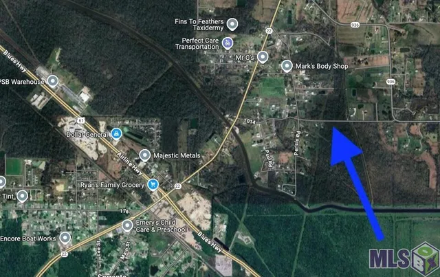 $155,000 | Tract 2-a-2 Tract 2-a-2 Melancon Rd Street, St. Amant, LA 70774