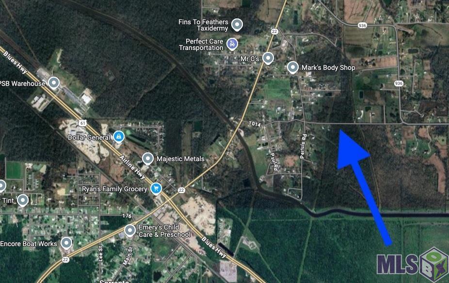 Tract 2-a-2 Tract 2-a-2 Melancon Rd Street St. Amant, LA 70774 - Photo 7 of 7