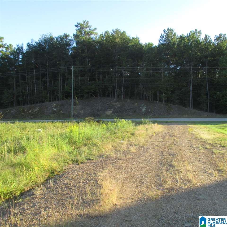 0 County Road 15, Unit 16 Cleveland, AL 35049 - Photo 3 of 5