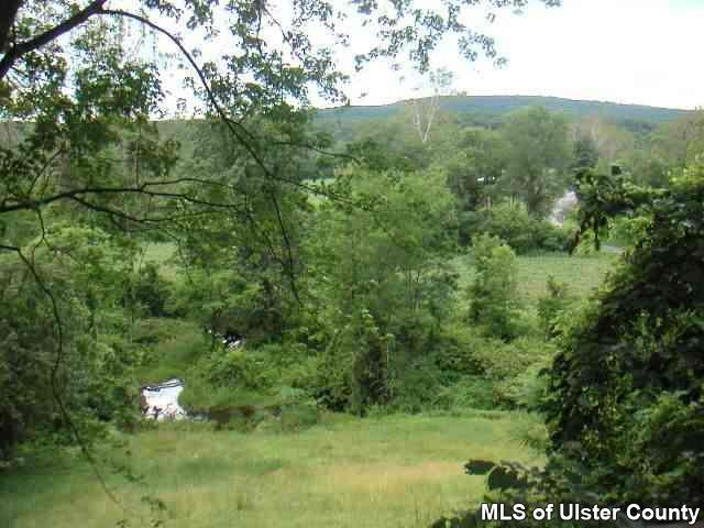 209 Tongore Road Stone Ridge, NY 12484 - Photo 4 of 6 a view of a lush green forest with trees
