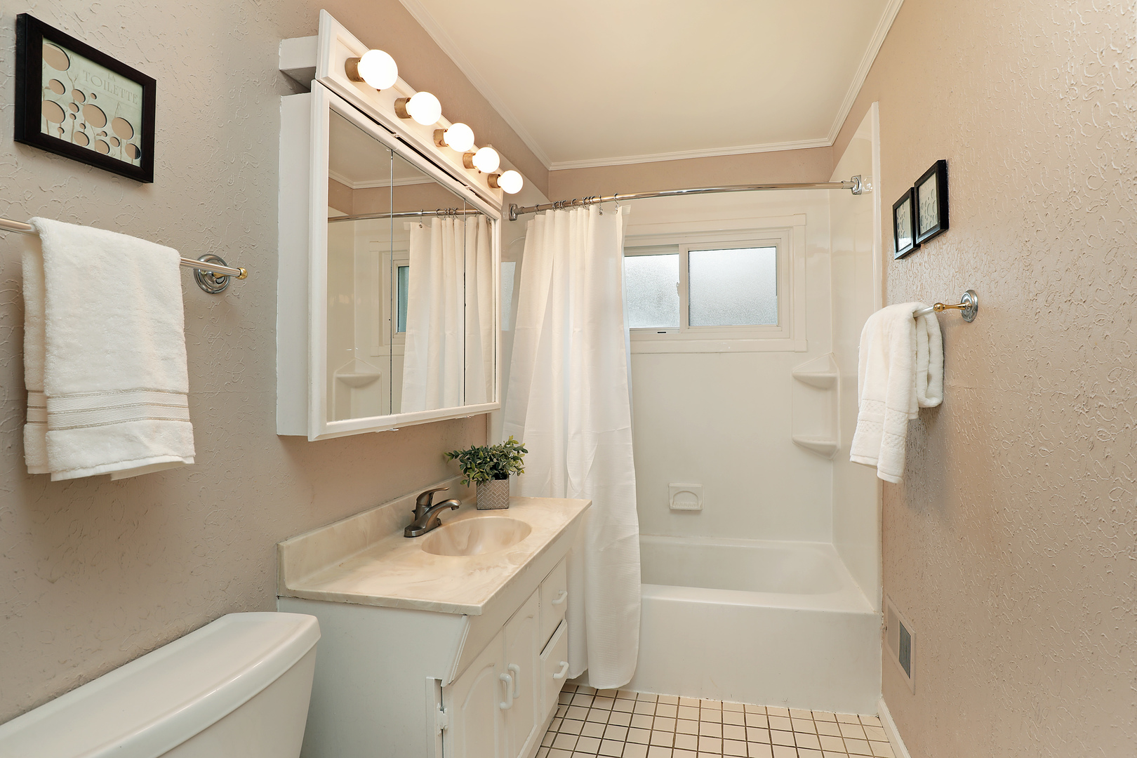 1001 Longaker Road Northbrook, IL 60062 - Photo 10 of 17 a bathroom with a sink a toilet and shower