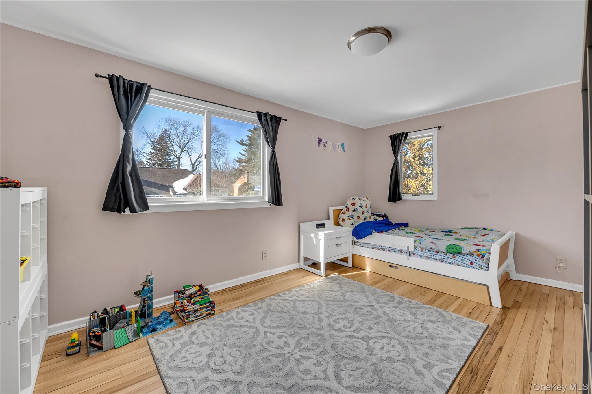 34 Roxbury Road Port Washington, NY 11050 - Photo 10 of 18 a living room with furniture and a rug