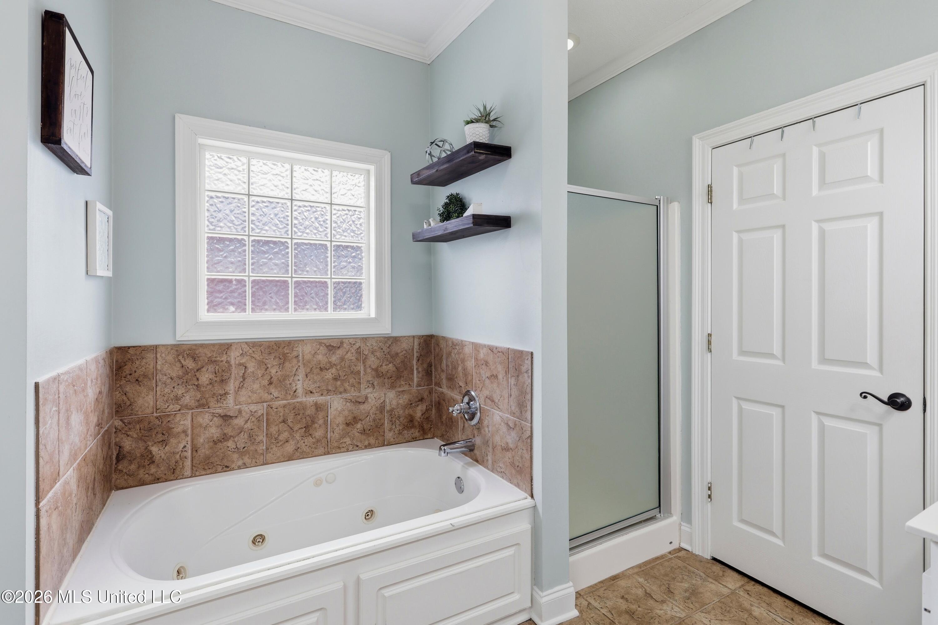 408 Pinebrook Circle Brandon, MS 39047 - Photo 20 of 27 408 Pinebrook Cir \ Home Tours MS (19)[1