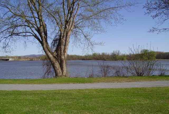 19 Old Canal Road Halfmoon, NY 12065 - Photo 9 of 11 Photo 9
