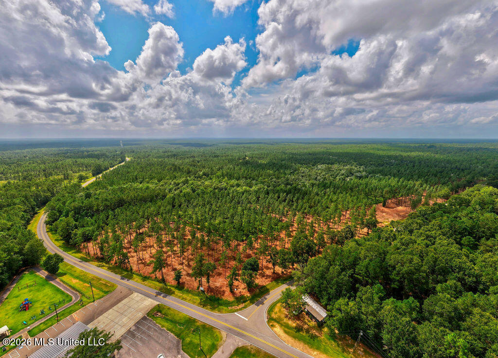 Nhn Lot 2 Nhn Road Saucier, MS 39574 - Photo 46 of 87 HiddenCreekEstatesNoLines-3