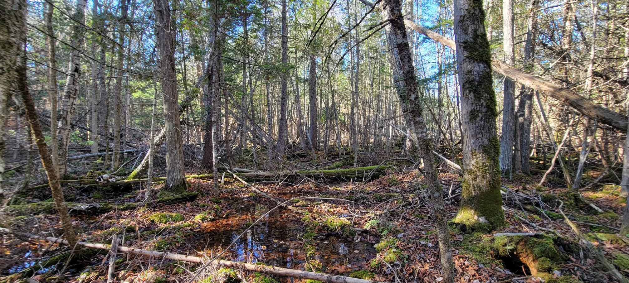 25-22 Back Troy Road Troy, ME 04987 - Photo 20 of 43 Lot 6