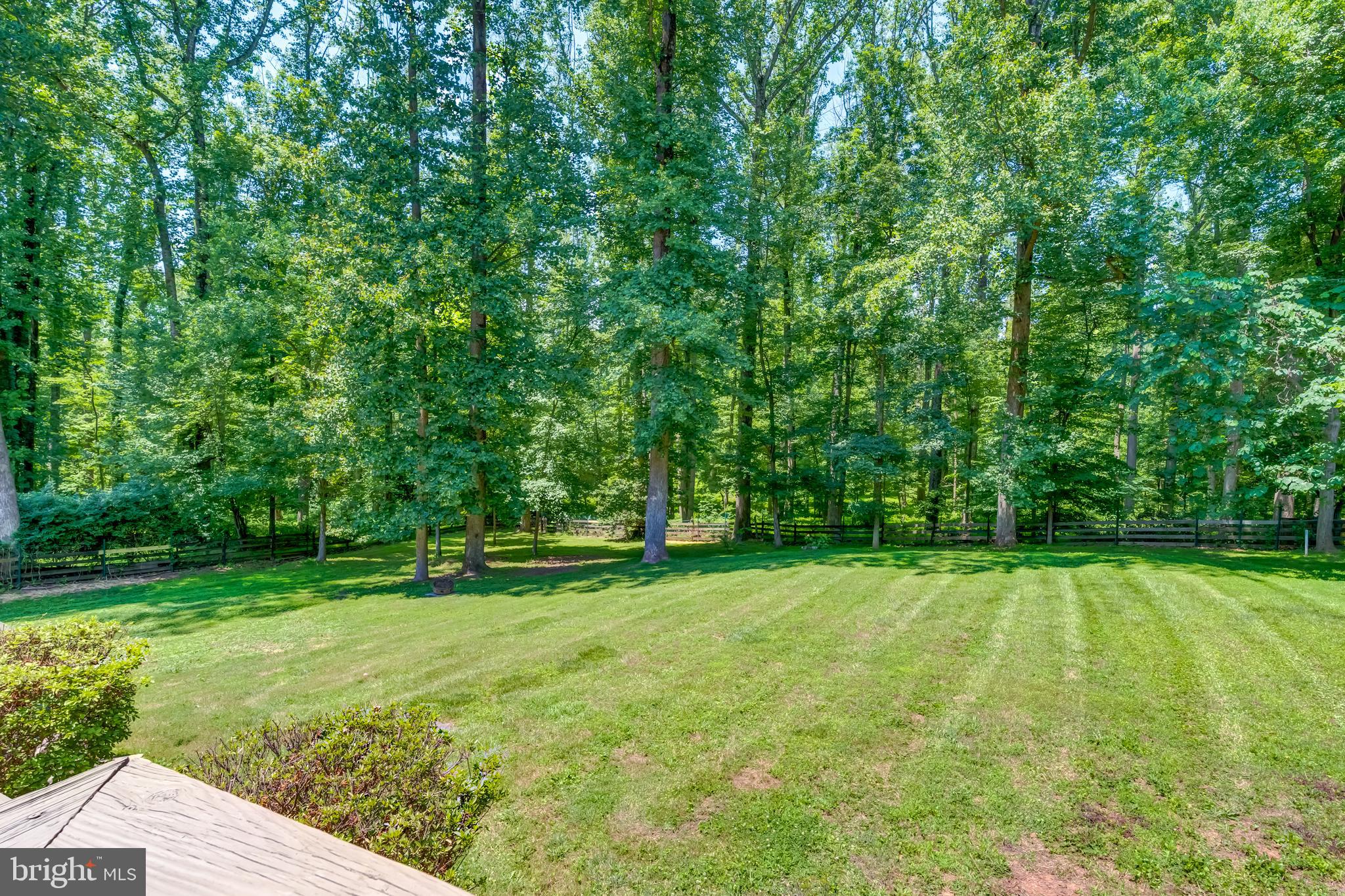 11926 Appling Valley Road Fairfax, VA 22030 - Photo 60 of 60 a view of a park with trees in the background