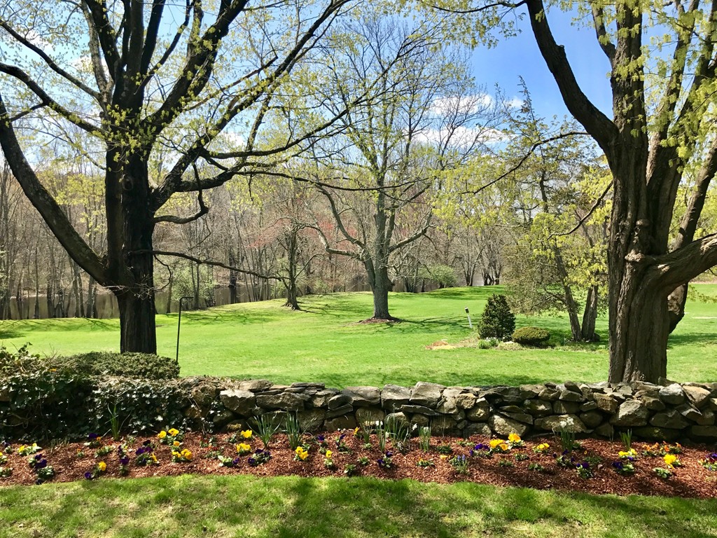 111 Barretts Mill Road Concord, MA 01742 - Photo 21 of 29 a view of backyard with large trees