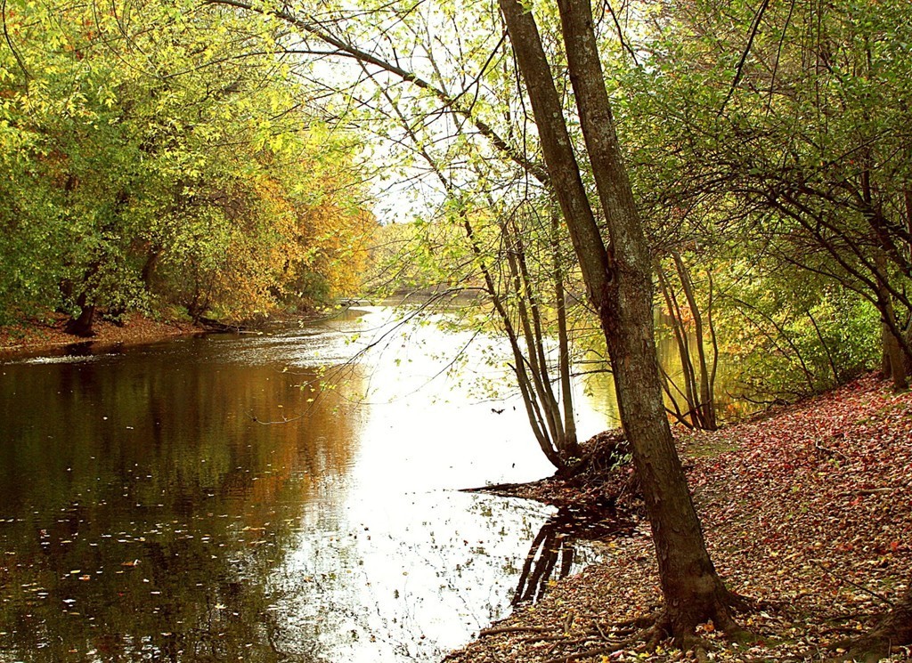 111 Barretts Mill Road Concord, MA 01742 - Photo 26 of 29 a backyard of a house with lots of green space