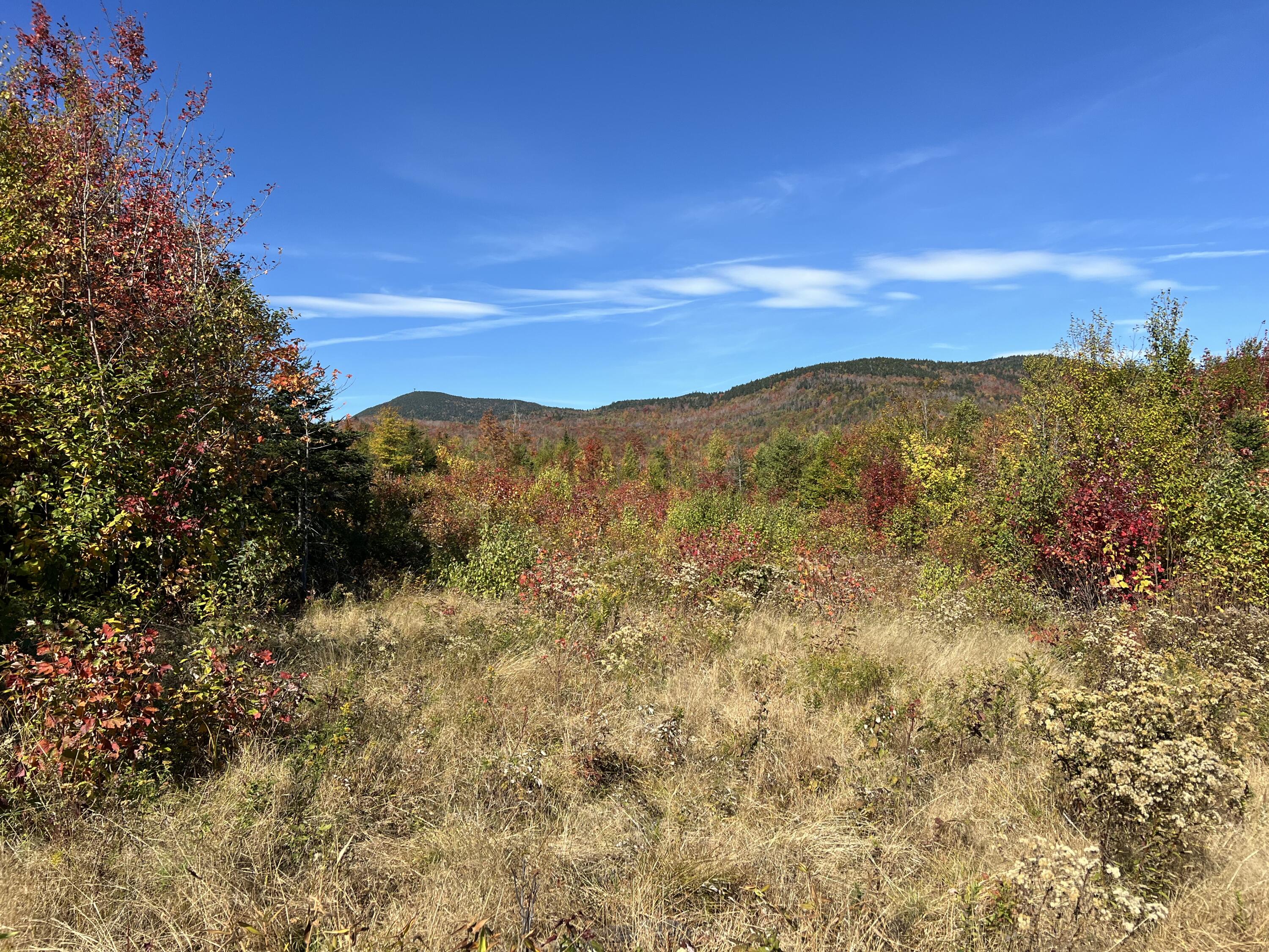 7 East Mountain View Drive Temple, ME 04984 - Photo 11 of 14 IMG_7333