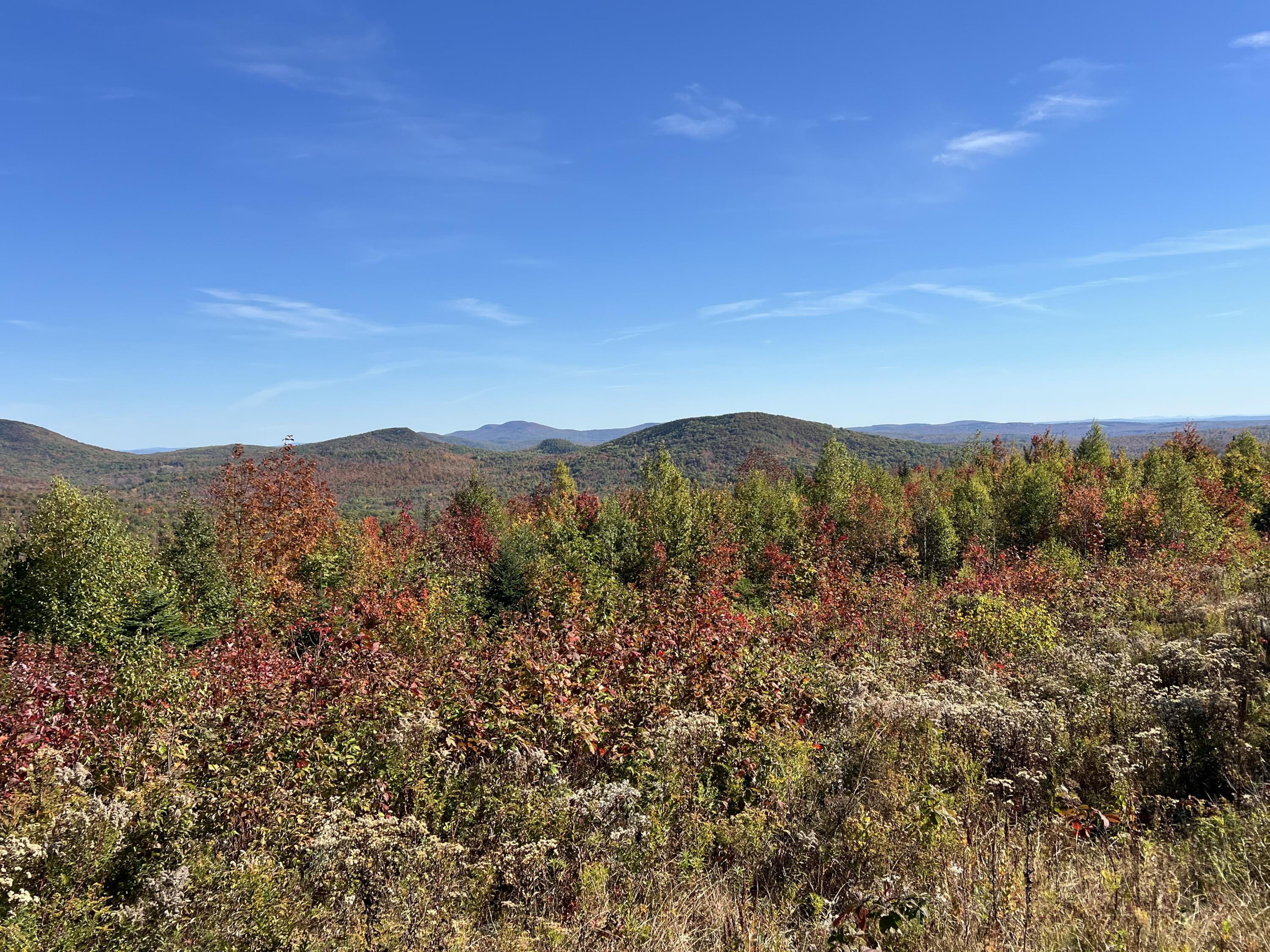 7 East Mountain View Drive Temple, ME 04984 - Photo 12 of 14 IMG_7337