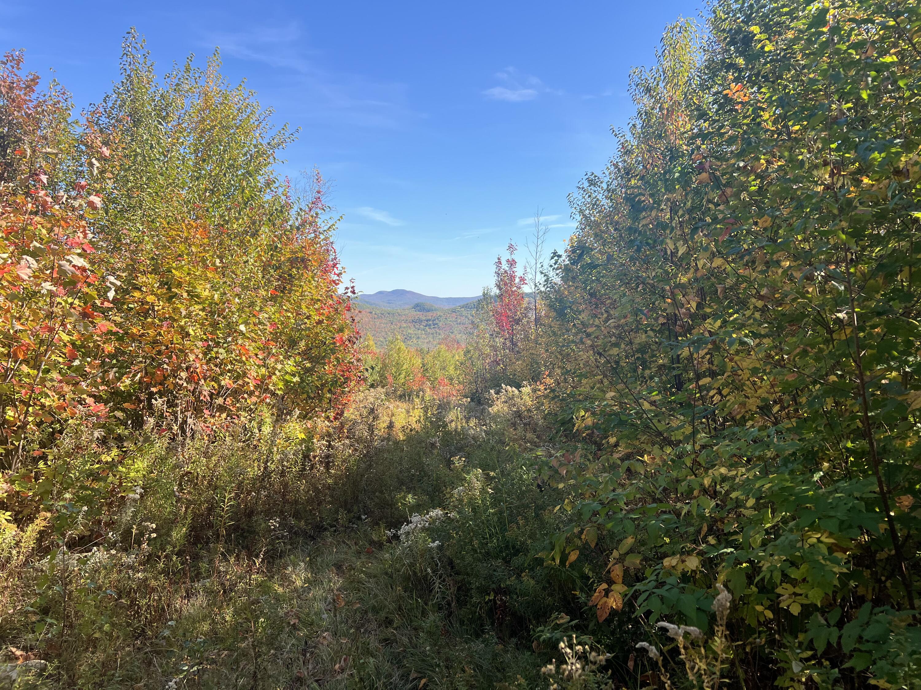 7 East Mountain View Drive Temple, ME 04984 - Photo 2 of 14 IMG_7327