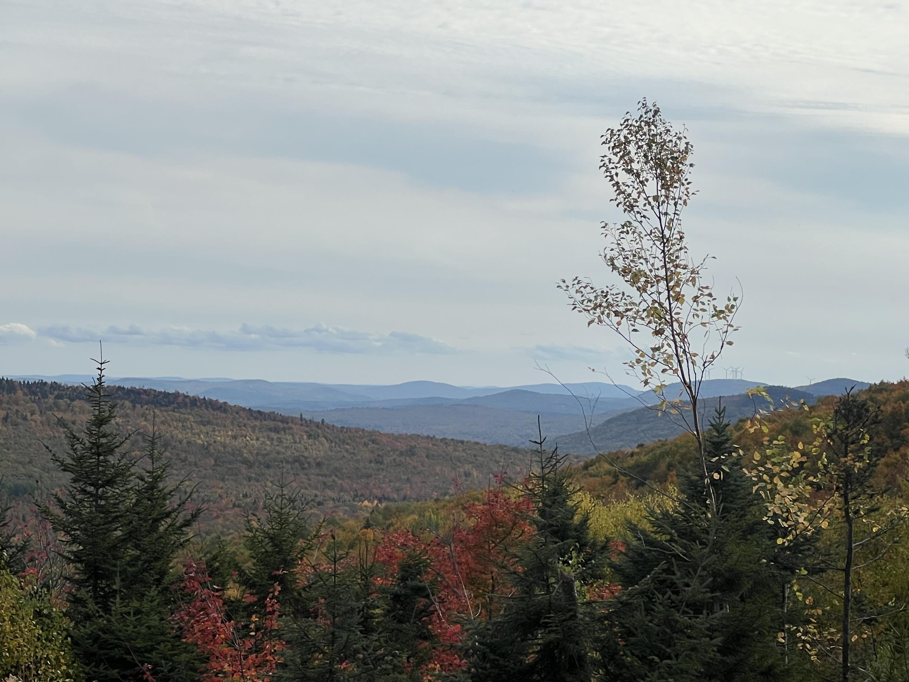 7 East Mountain View Drive Temple, ME 04984 - Photo 3 of 14 Mtn Views_3660 (1)