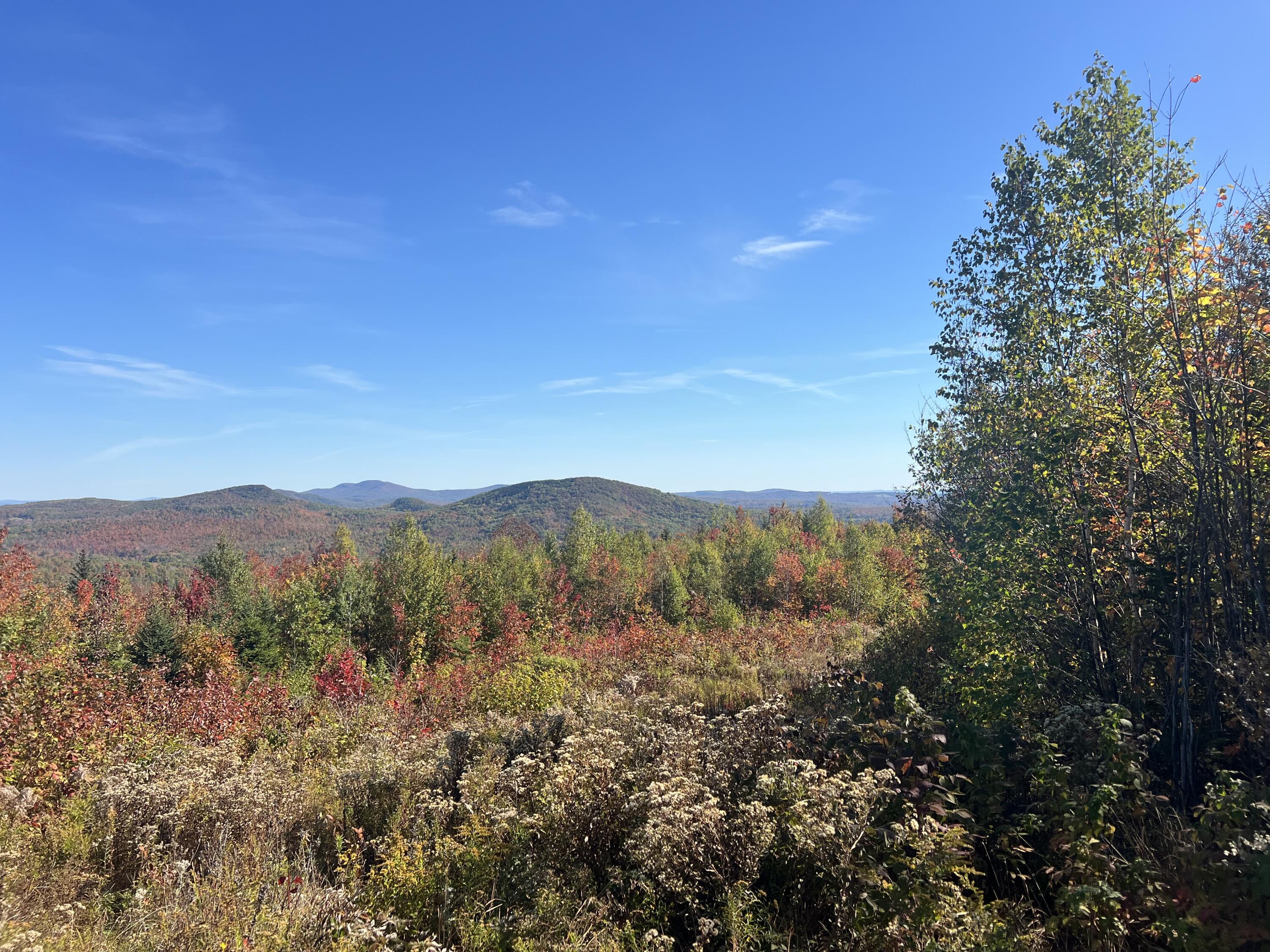 7 East Mountain View Drive Temple, ME 04984 - Photo 8 of 14 IMG_7328