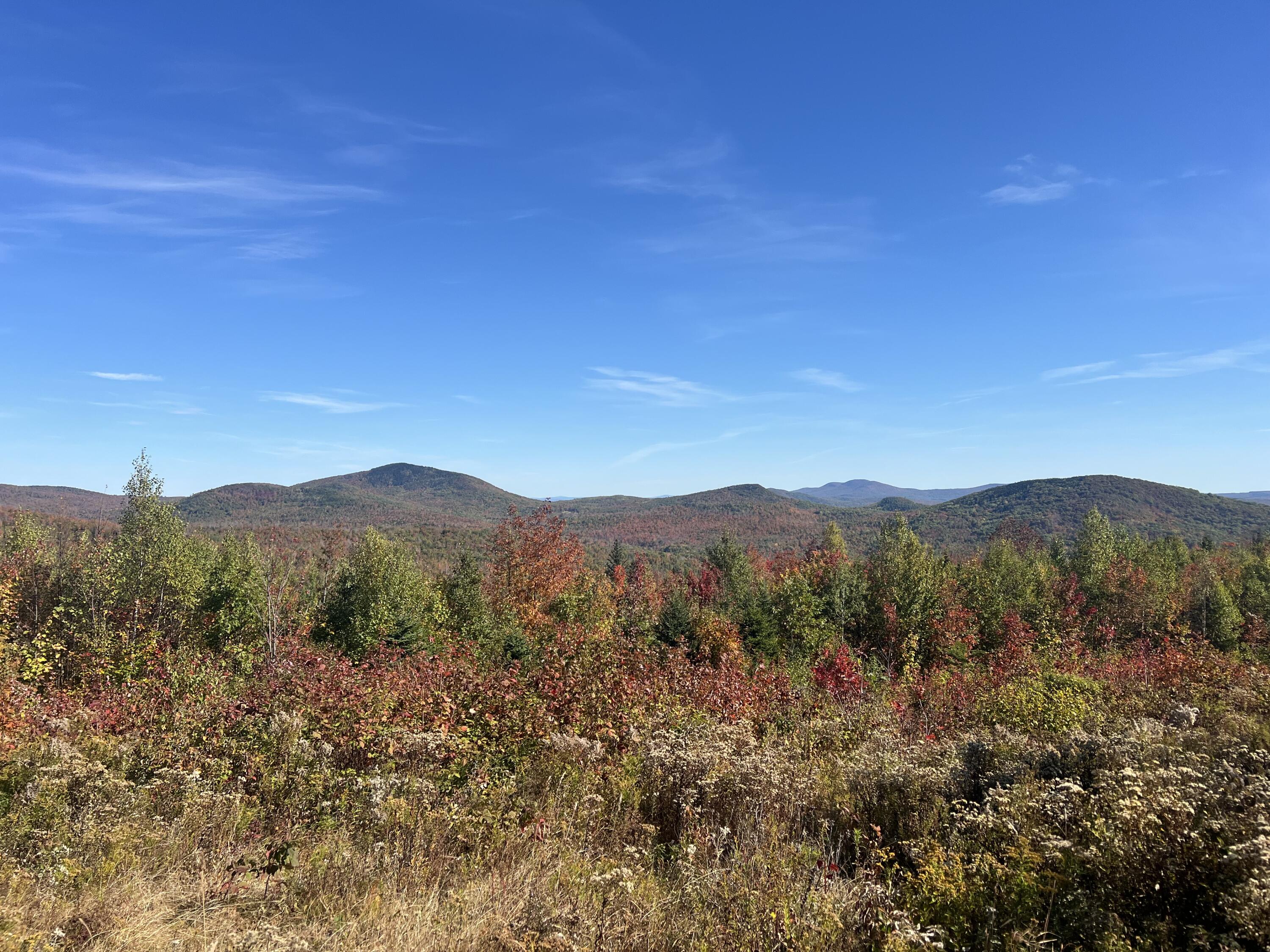 7 East Mountain View Drive Temple, ME 04984 - Photo 9 of 14 IMG_7329