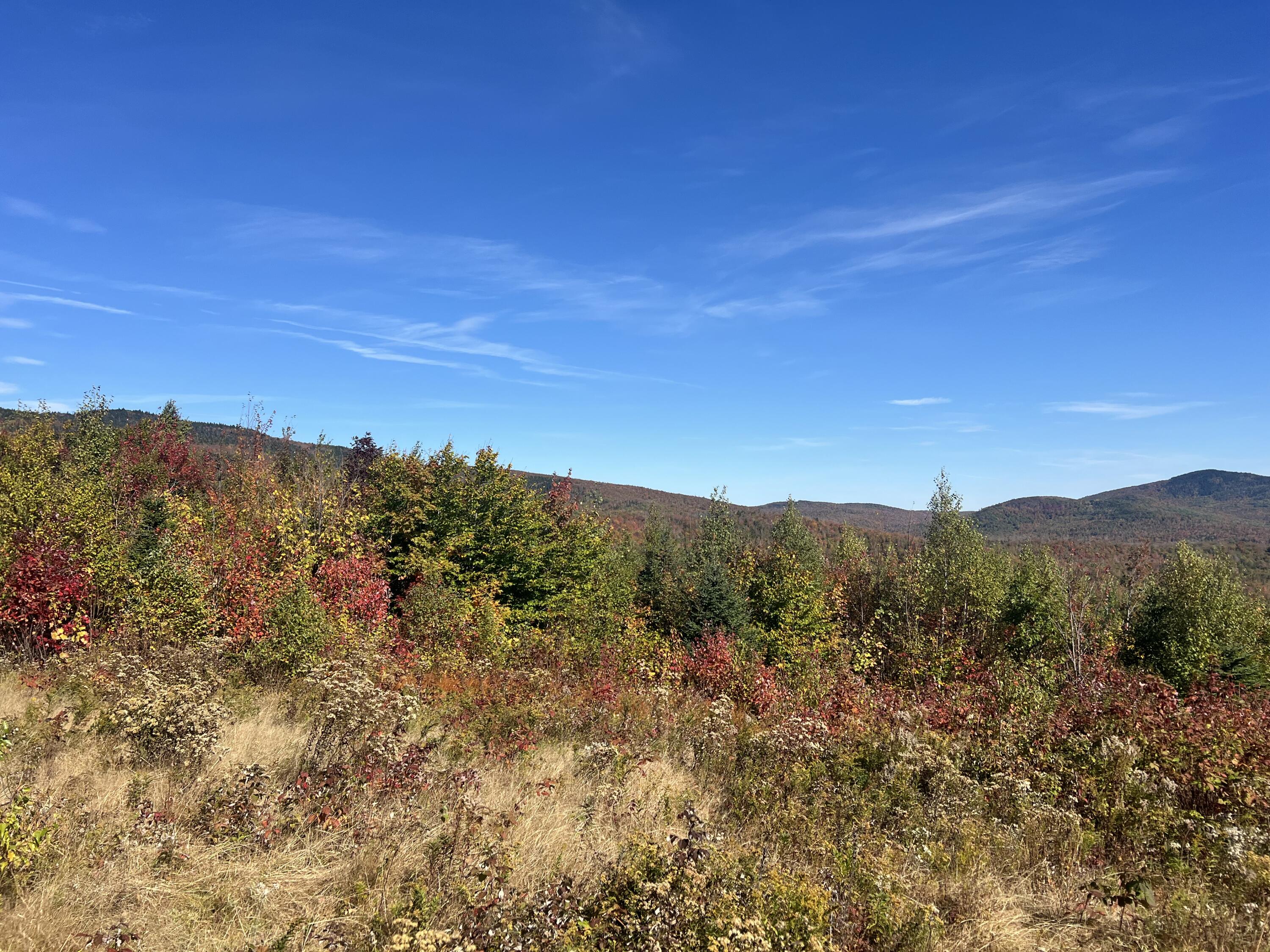 7 East Mountain View Drive Temple, ME 04984 - Photo 10 of 14 IMG_7330